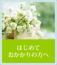 はじめておかかりの方へ