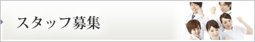 スタッフ募集
